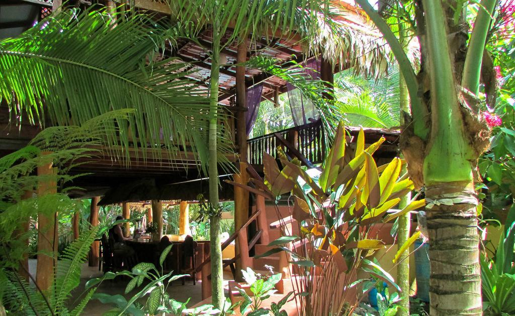 Caribe Town Bungalows Puerto Viejo de Talamanca Exterior foto