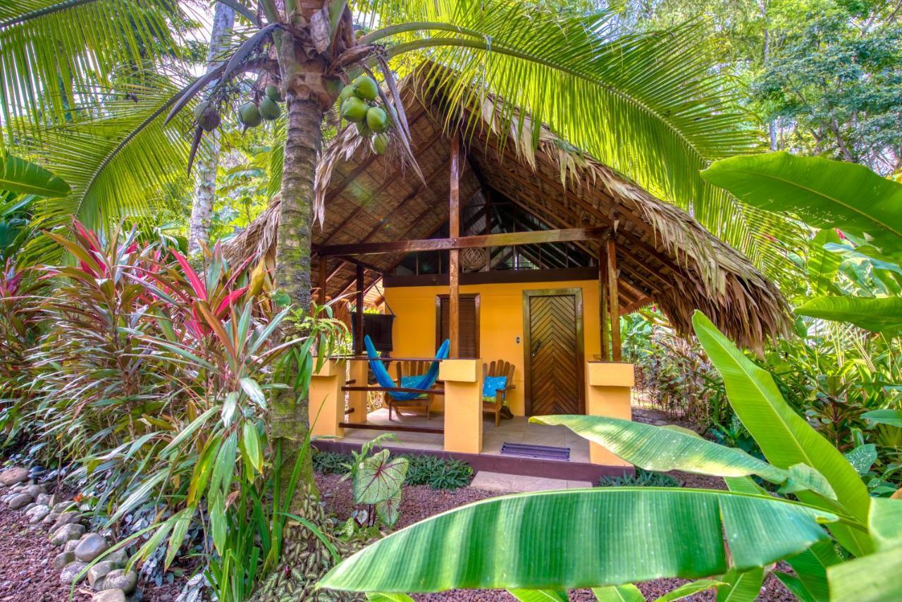 Caribe Town Bungalows Puerto Viejo de Talamanca Exterior foto
