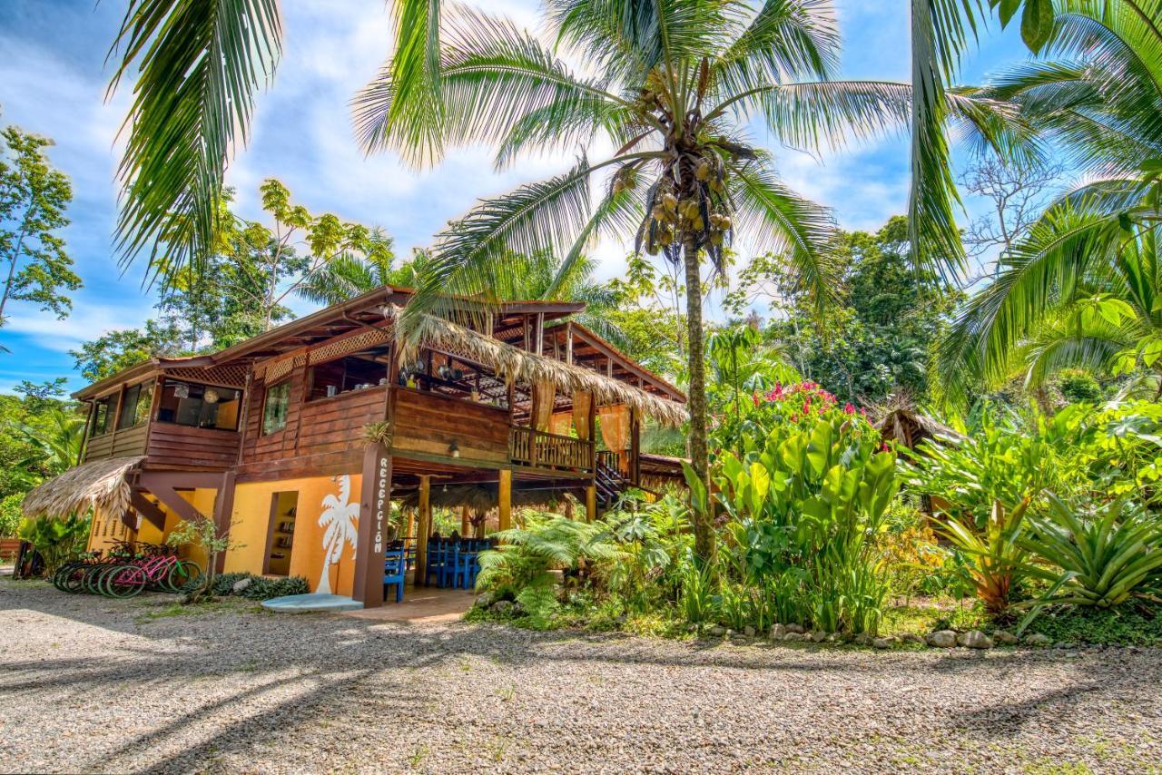 Caribe Town Bungalows Puerto Viejo de Talamanca Exterior foto